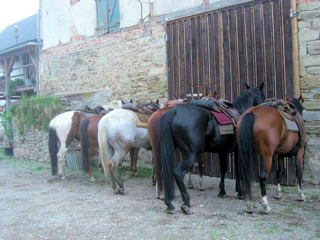 bl14.jpg