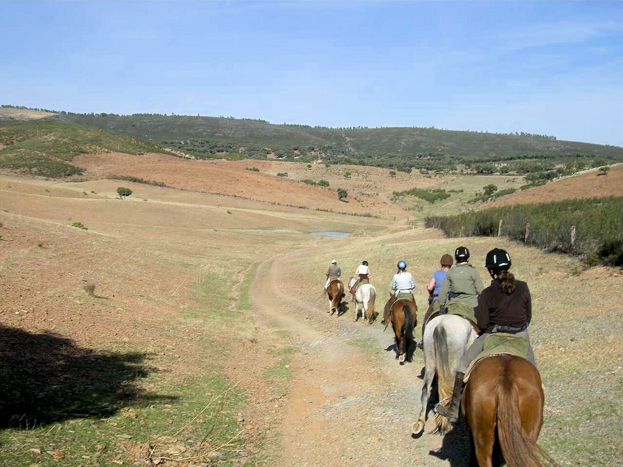 te69.jpg