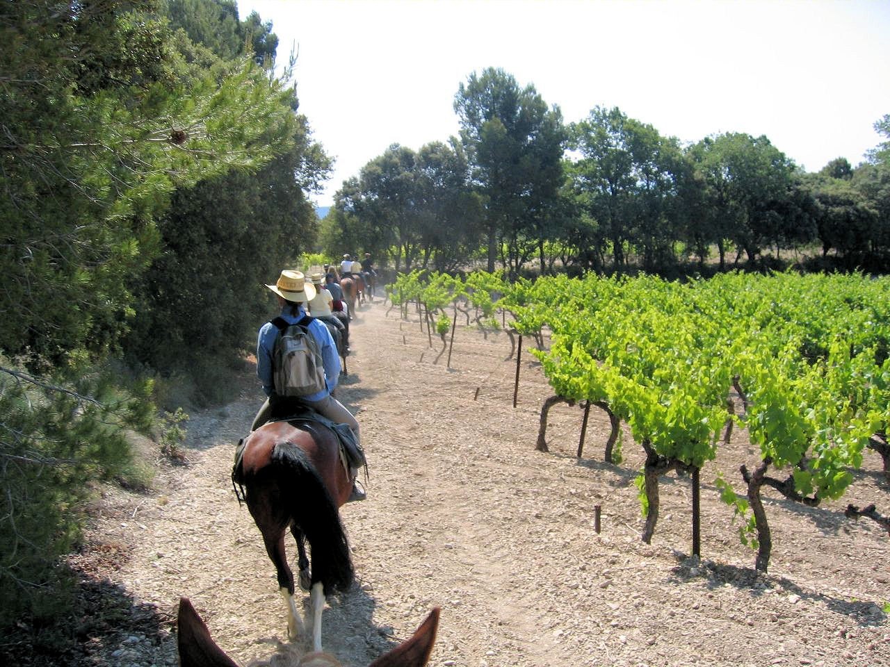 rn76.jpg