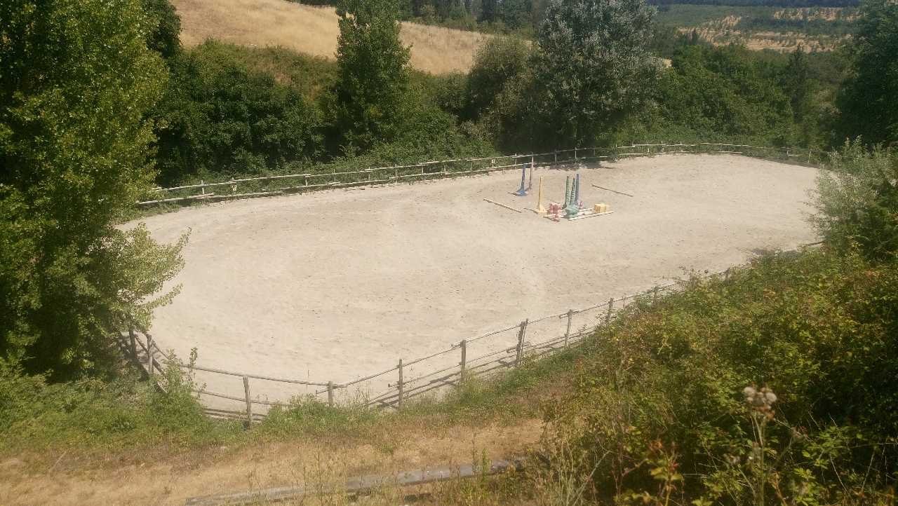 td30.jpg