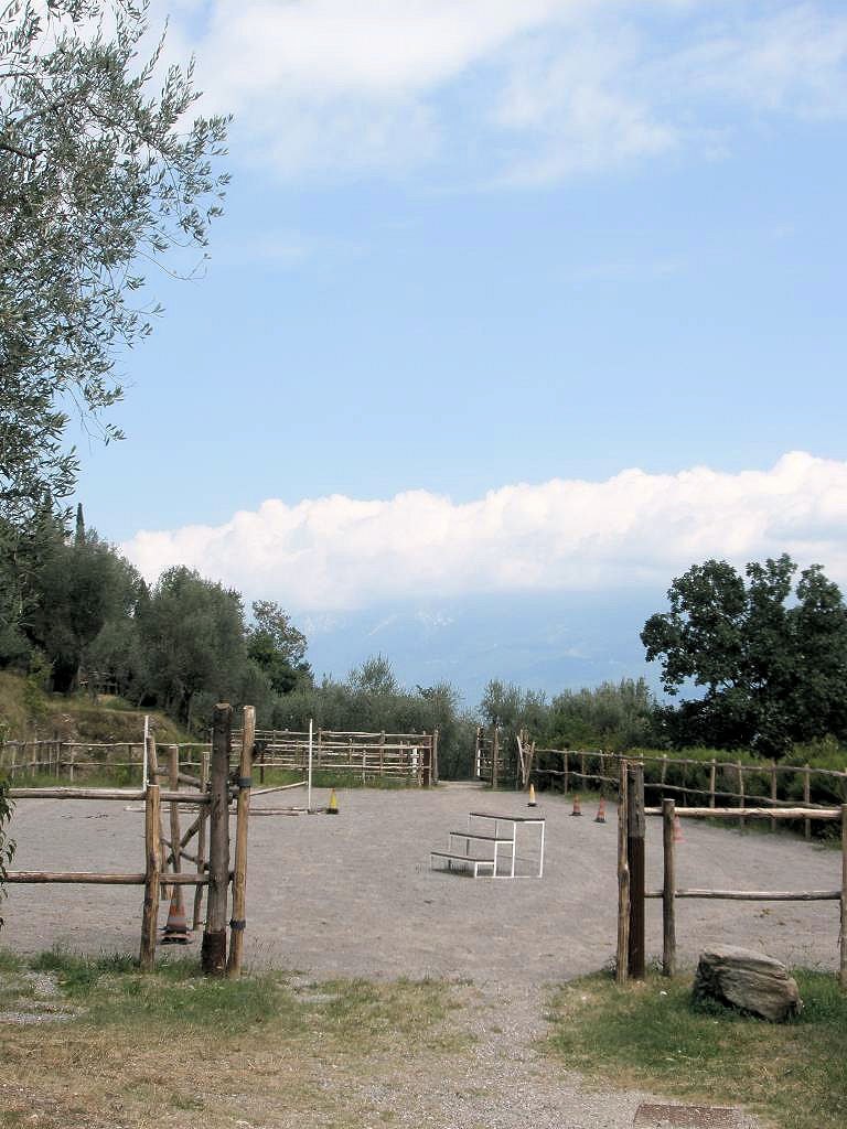 ig160.jpg