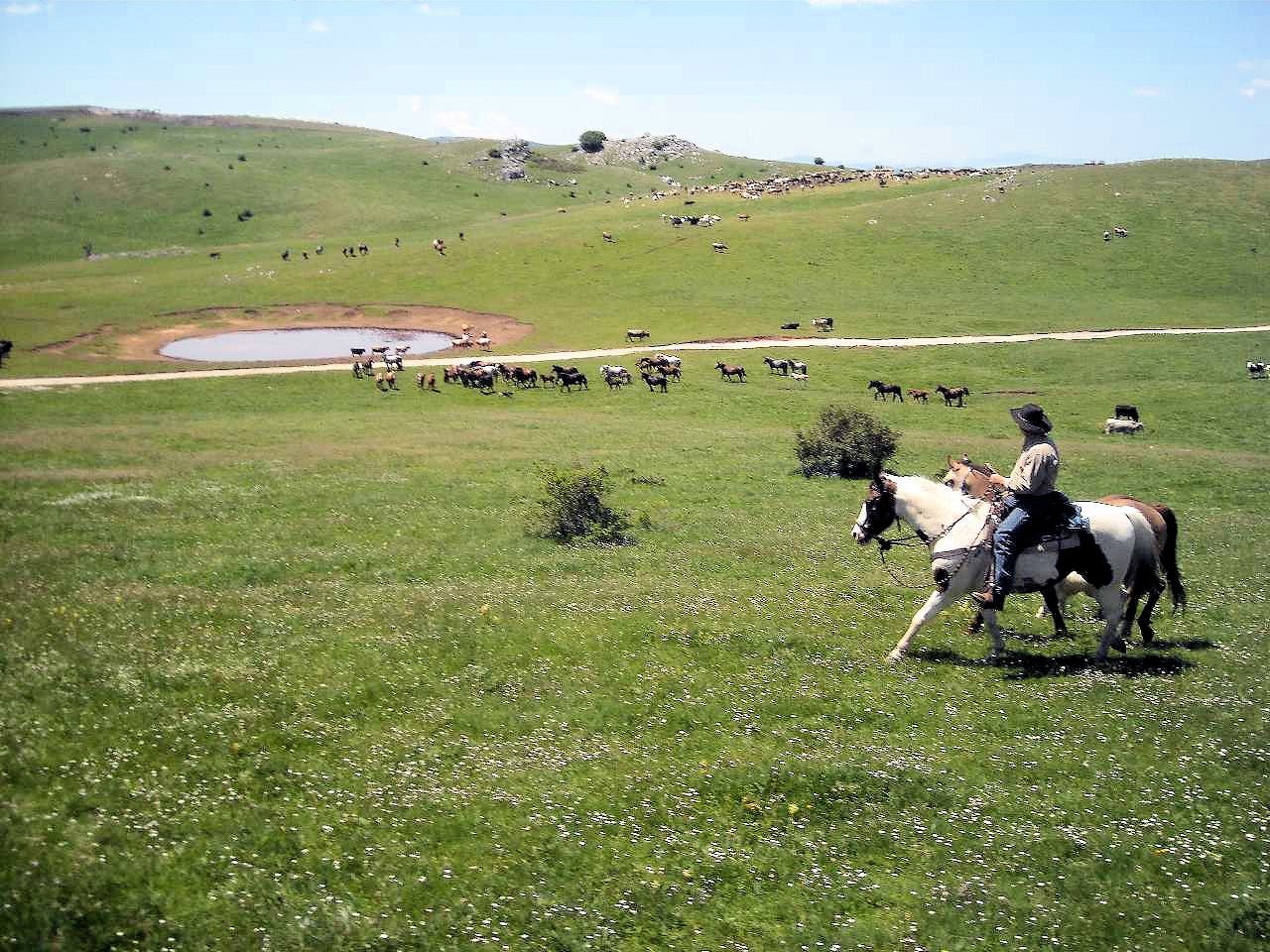 ia41.jpg