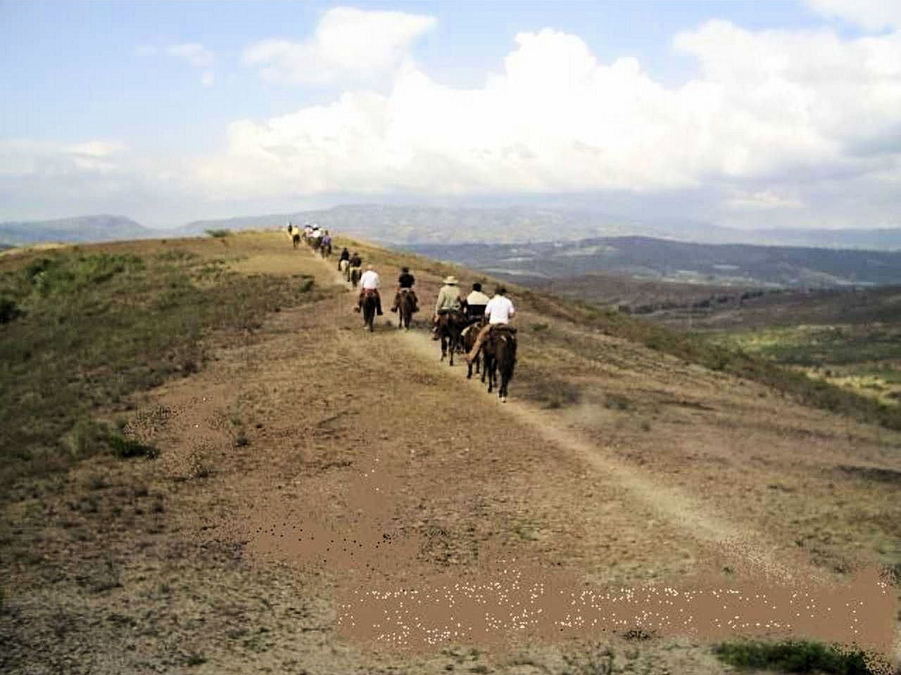 kl41.jpg