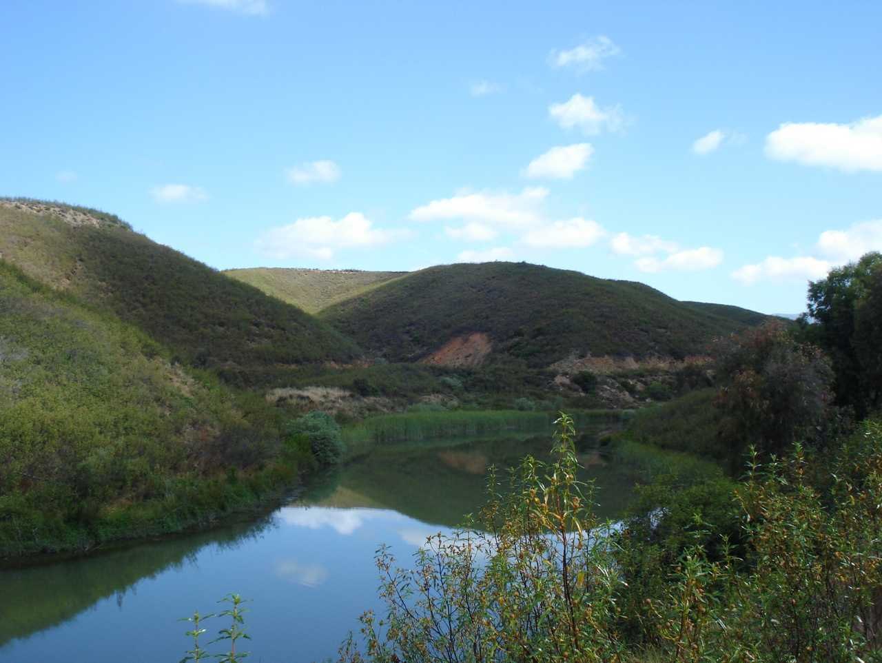 pa19.jpg