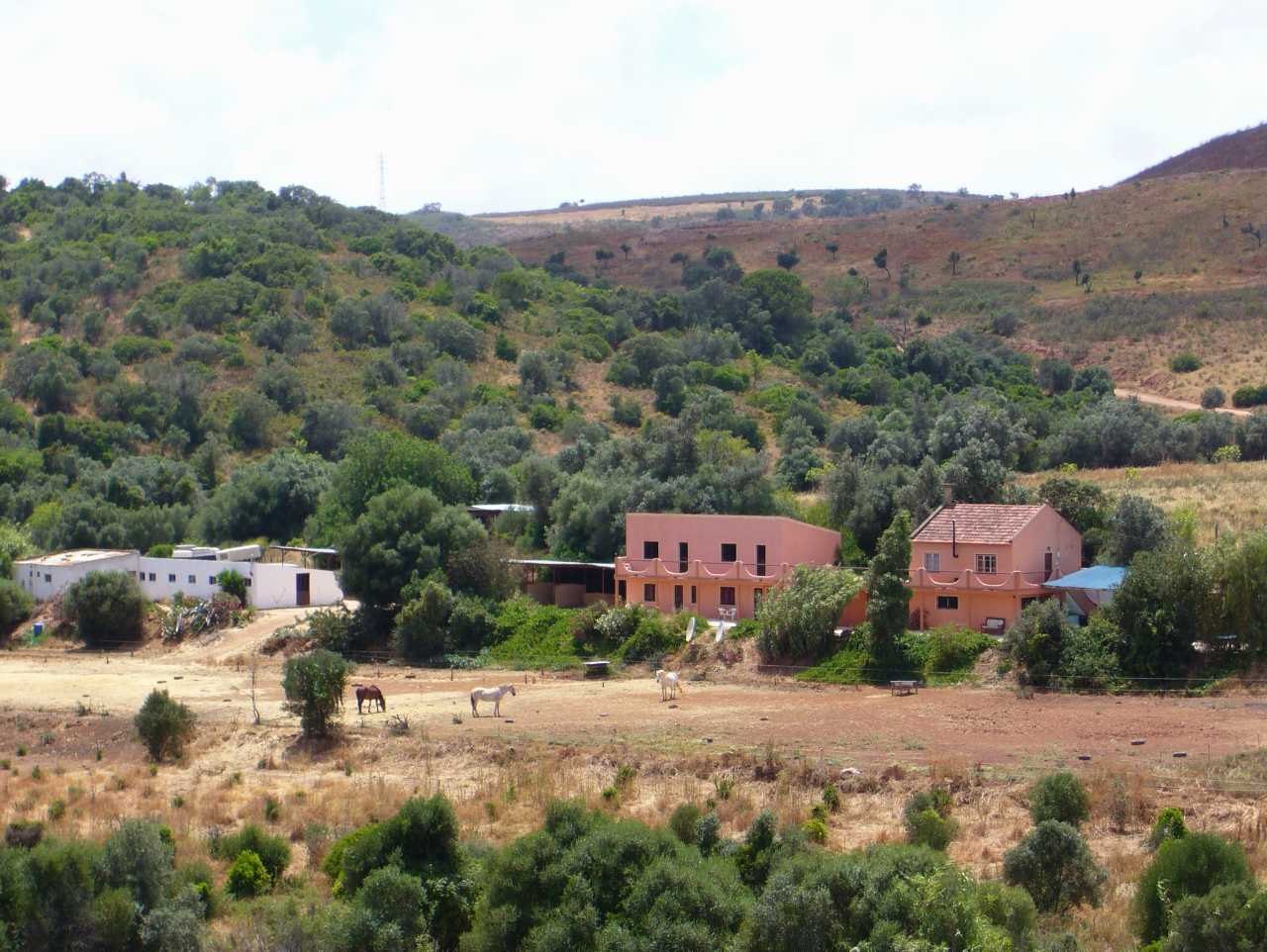 pa29.jpg