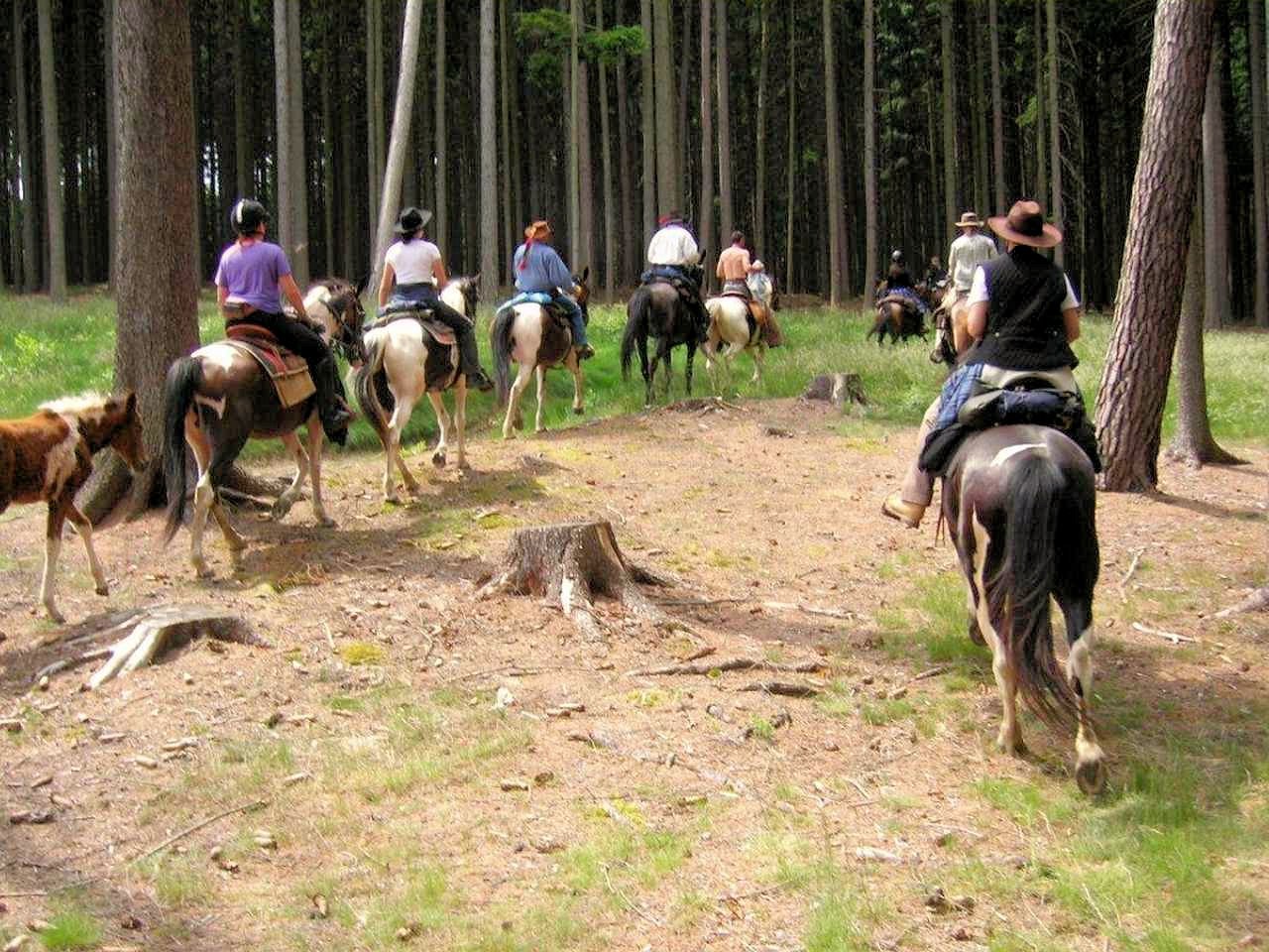 wp11.jpg