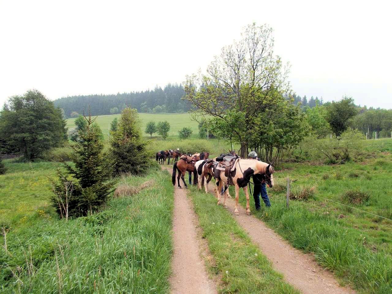 wp167.jpg