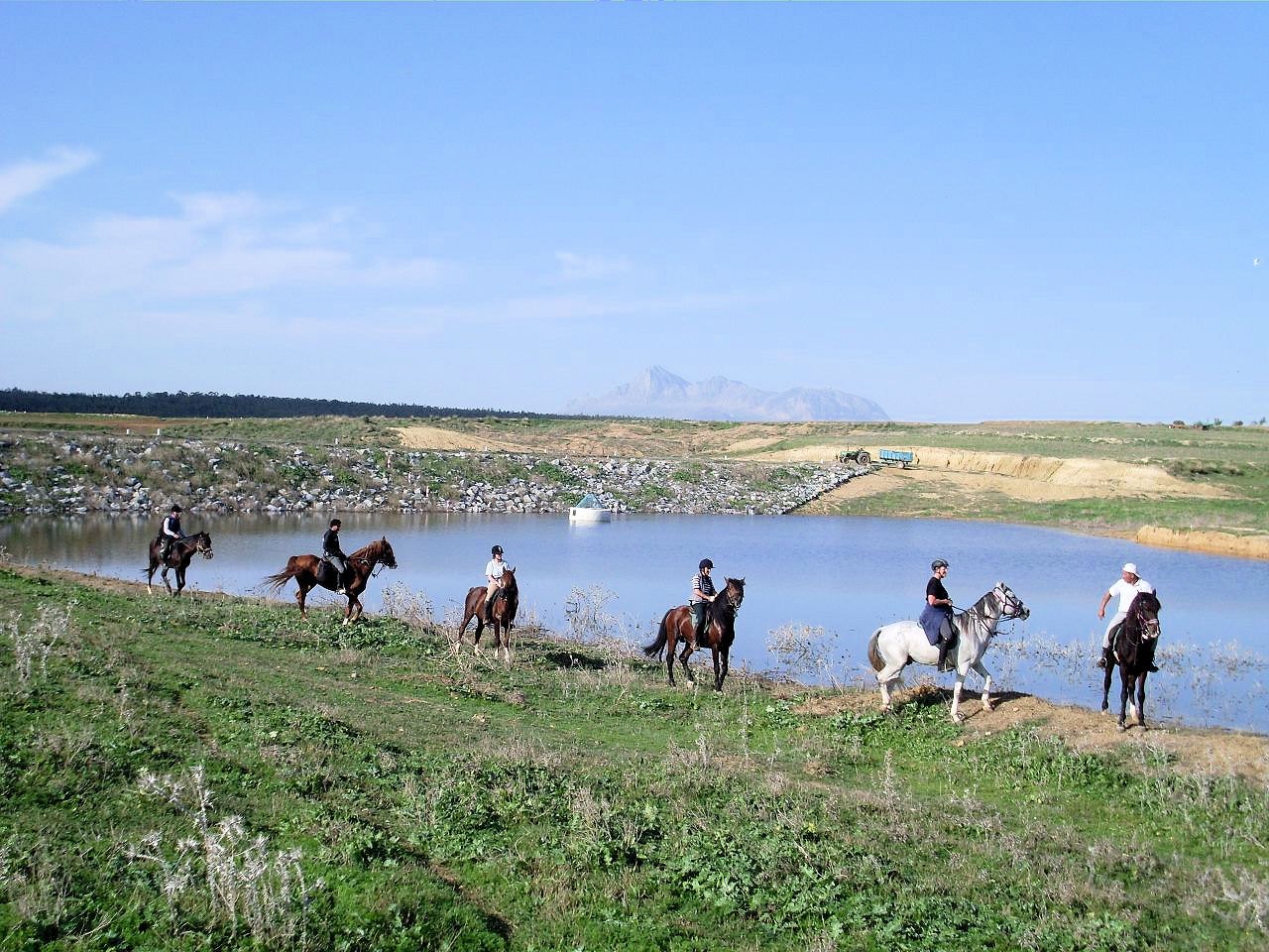 sh04.jpg