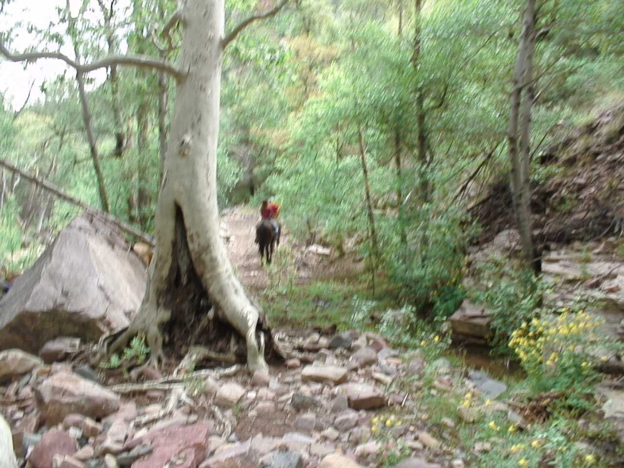 ua52.jpg