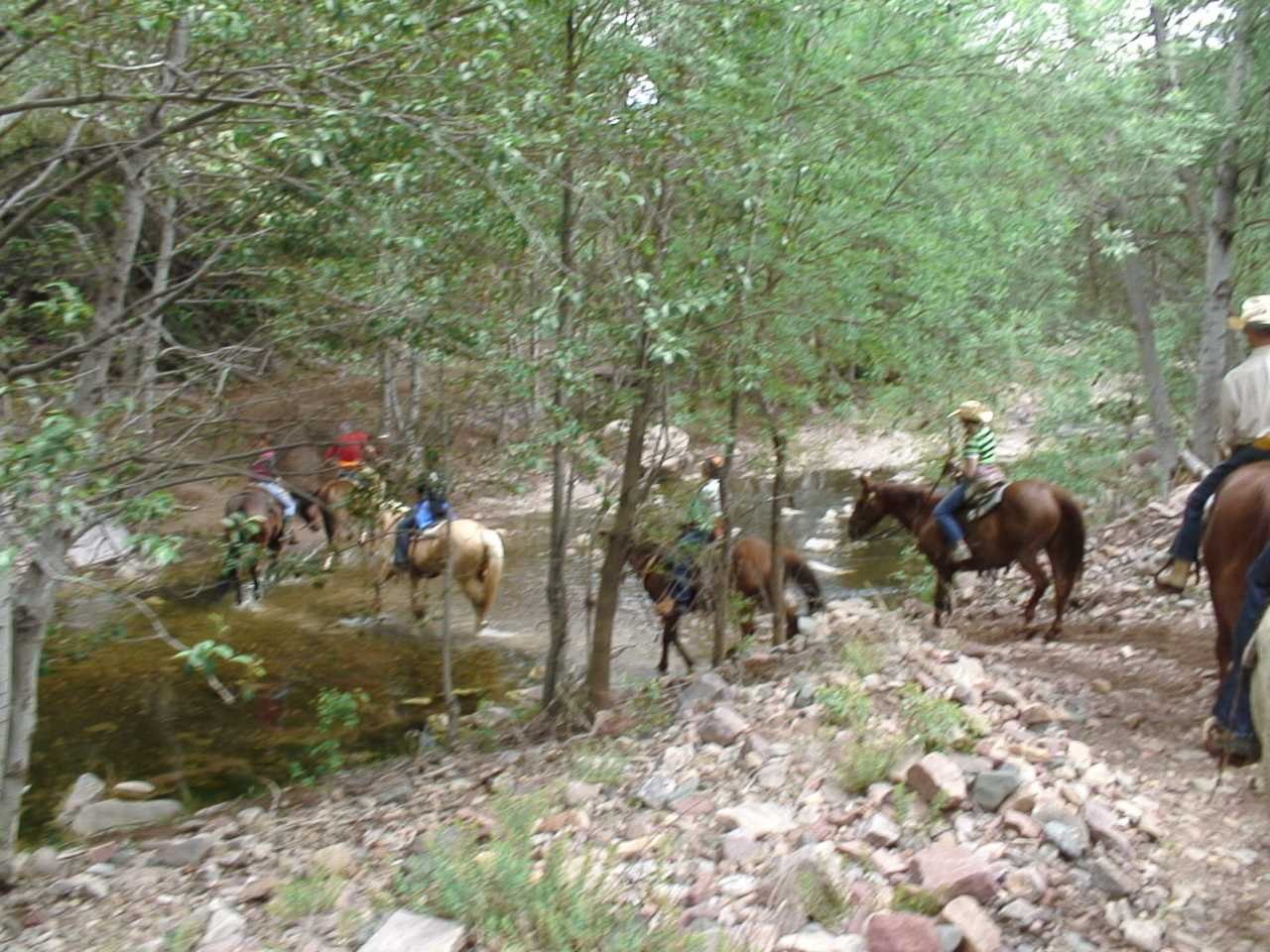 ua54.jpg