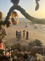 mw95.jpg
