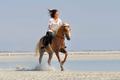 el50.jpg