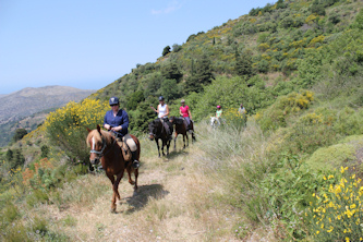 Reiterurlaub auf Kreta