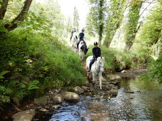 Reiterferien in Irland