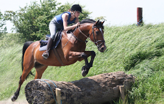 Galopp Wales