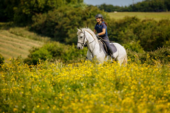 reiten Irland Schloss