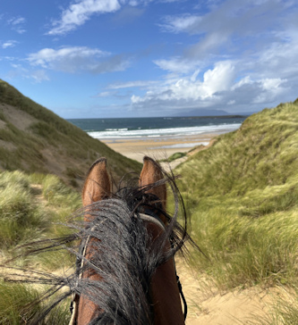 Reiten in Irland