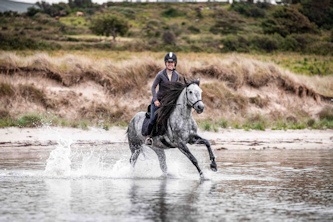 Reiten in Irland