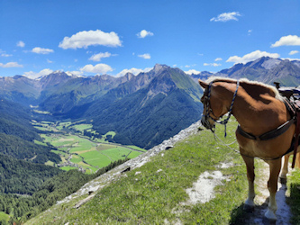 Reiten Kroatien - Dalmatien - Trail