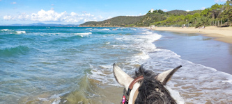 Reiten in der Maremma