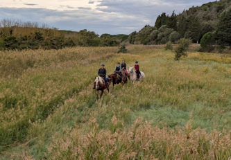 Reiten in der Maremma