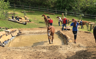 Westernreiten in Italien