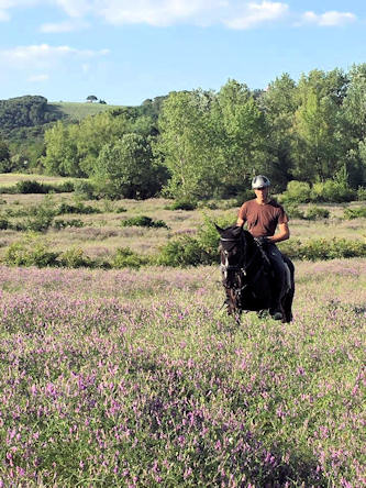 Reitferien Italien