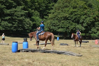 Einfuehrungsritt auf dem Reitplatz
