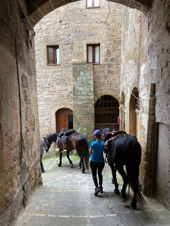 Einfuehrungsritt auf dem Reitplatz