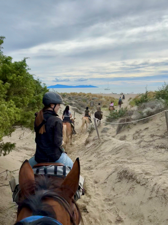Trail zum Meer