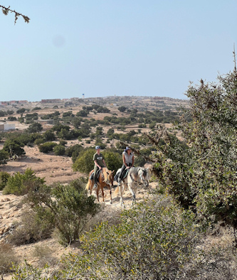 Galopp am Atlantik