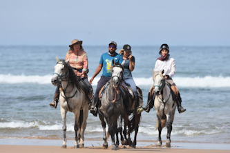 Galopp am Atlantik
