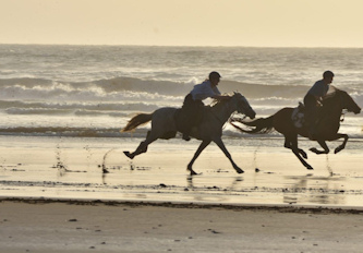 Galopp am Atlantik