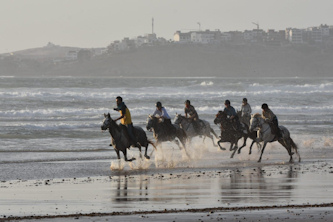 Galopp am Atlantik