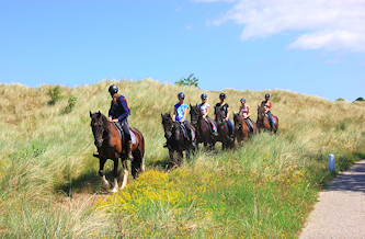 Reiterurlaub Terschelling Niederlande
