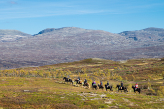 Reitferien Norwegen