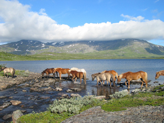 Reiturlaub Norwegen