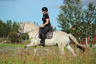 Reiterferien