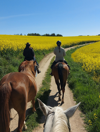 Reitvergnuegen in Polen
