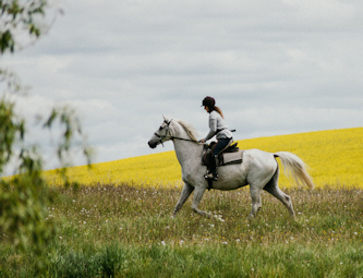 Galoppaden in Polen
