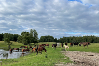 Reiturlaub in Polen