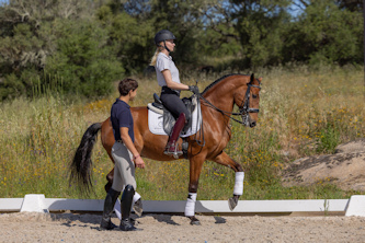 Lusitanos Portugal