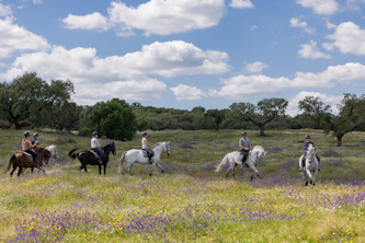 Dressur Portugal