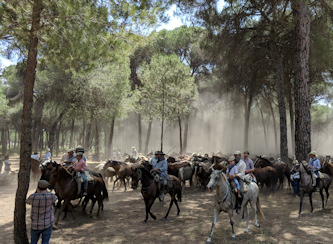 Reitkurs Algarve