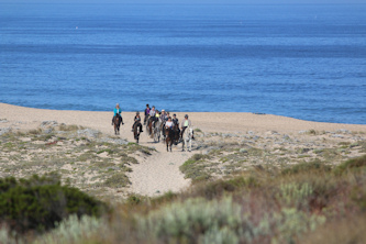 Strandgalopp