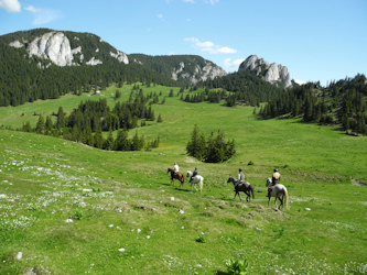Reiten in Rumänien