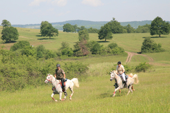 Im Galopp durch Rumaenien