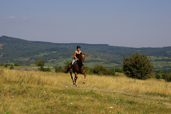 Im Galopp durch Rumaenien