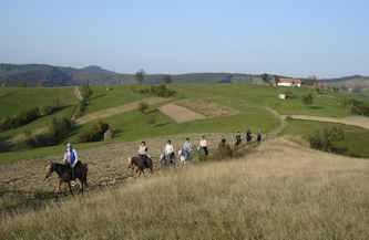 Im Galopp durch Rumaenien
