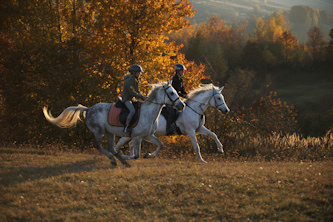 Im Galopp durch Rumaenien